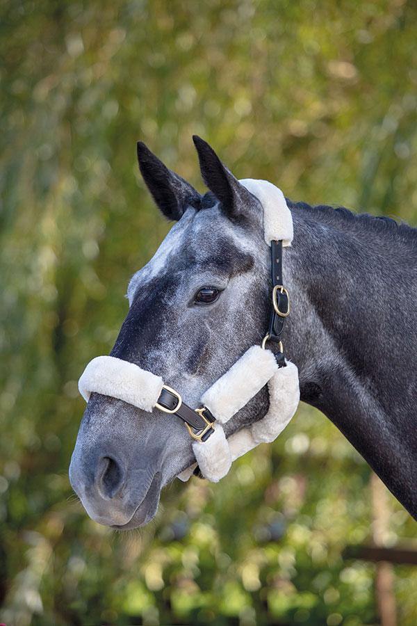 Supafleece Kit Fourreau de Licol - SHOP HORSE